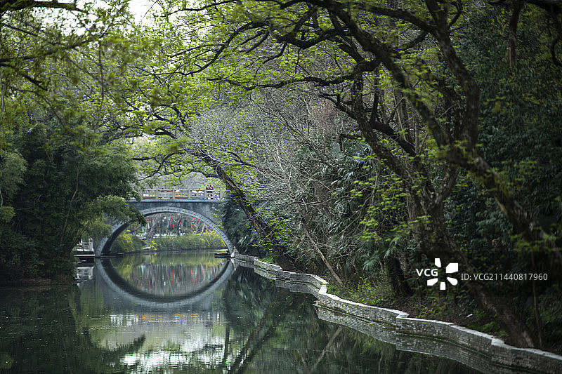 扬州盆景园春色(5)图片素材