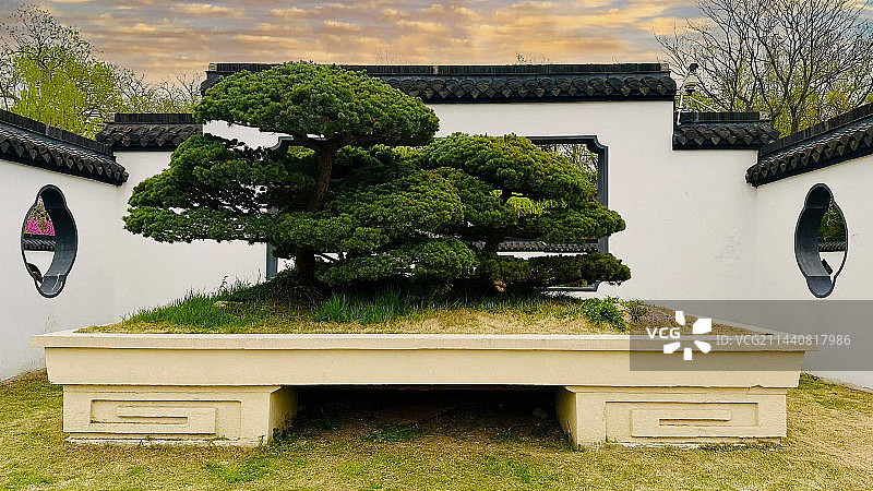 扬州盆景园春色(10)图片素材