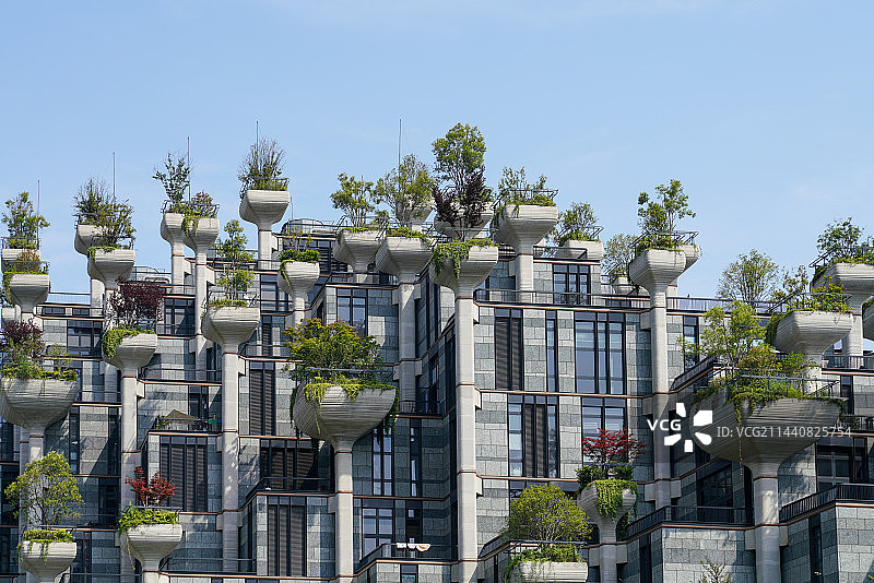 上海 大洋晶典 天安千树图片素材