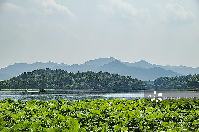 西湖初夏意境图片素材