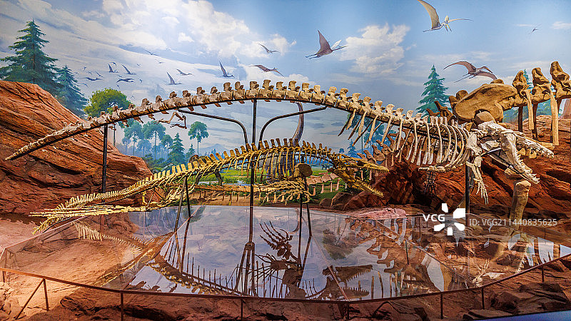 澄江动物化石群博物馆图片素材