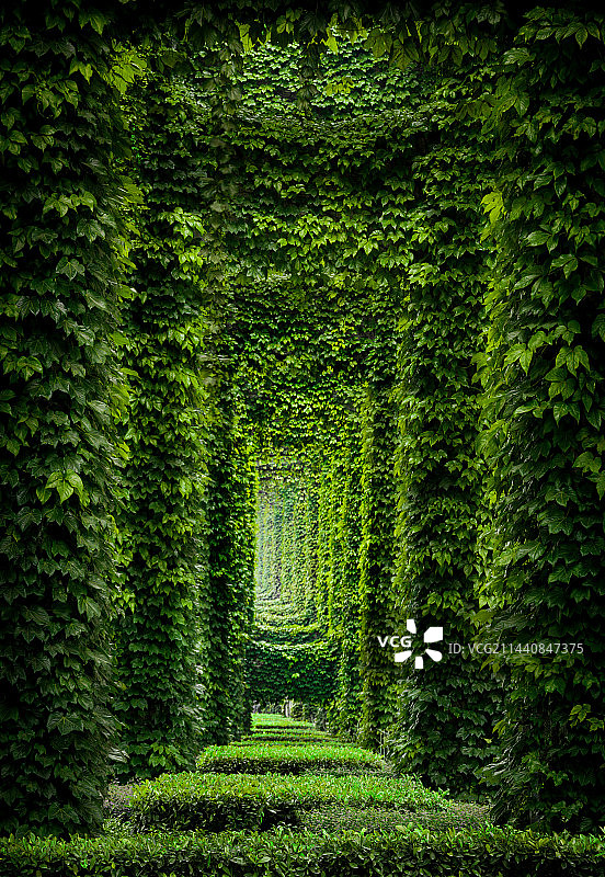 围满绿色爬山虎的成都二环高架桥图片素材