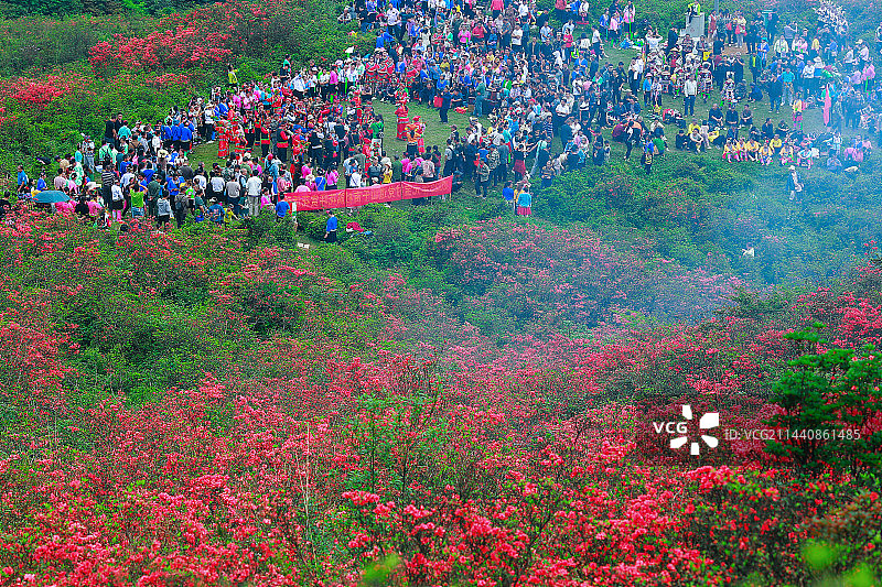 广西融水苗族自治县元宝村杜鹃花节，融水“擎天柱”式烤肉串图片素材