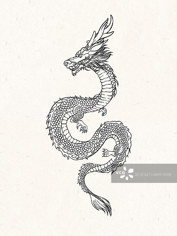 龙 龙年 国风龙 古风龙 新中式图片素材