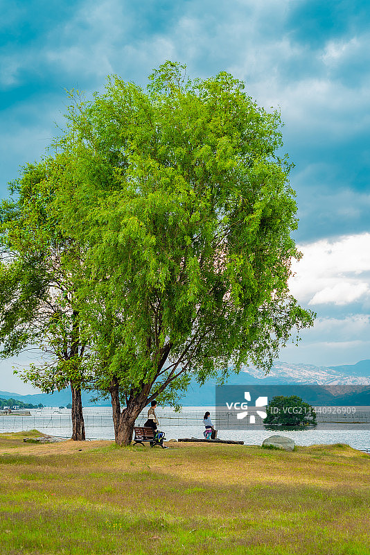 大理洱海生态廊道图片素材