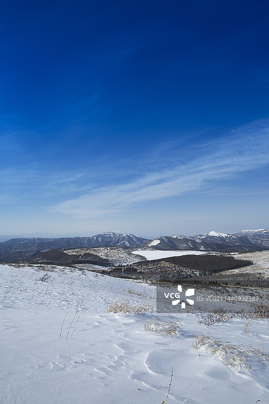 冬季的屋岛原湿地，日本长野县诹访图片素材