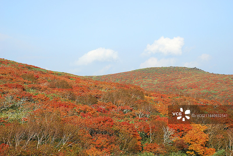 日本宫城县栗原市的栗驹山秋景图片素材