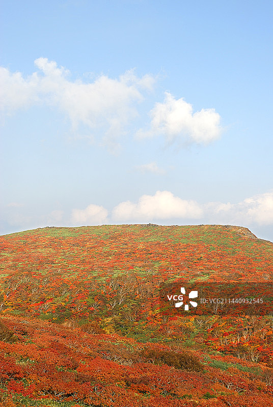 日本宫城县栗原市的栗驹山秋景图片素材