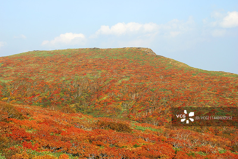 日本宫城县栗原市的栗驹山秋景图片素材