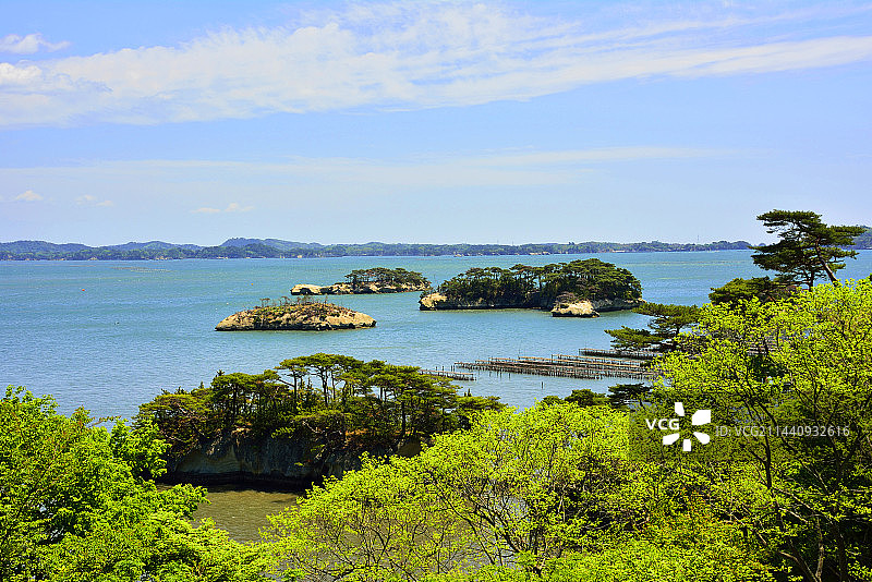 宫城县松岛湾的清新绿意图片素材