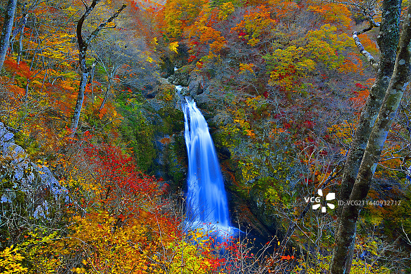秋季的秋保大瀑布，位于日本宫城县仙台市图片素材