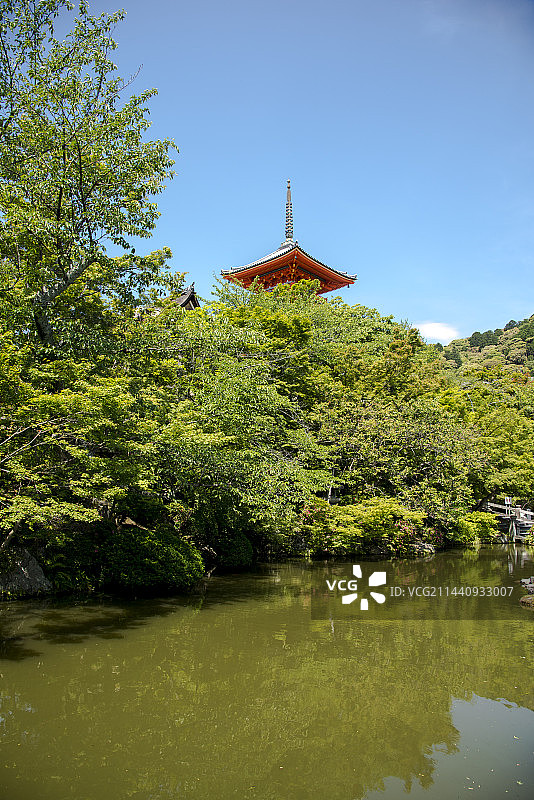 日本京都清水寺的翠绿与三重塔图片素材