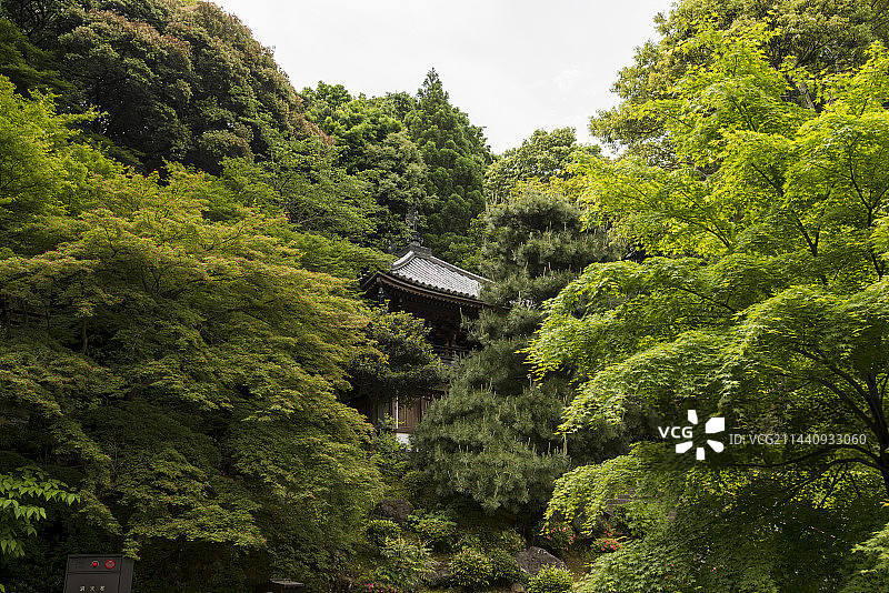 日本京都东山区知恩院图片素材