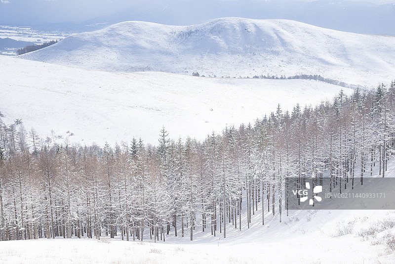雾峰高原雪景，日本长野县诹访图片素材