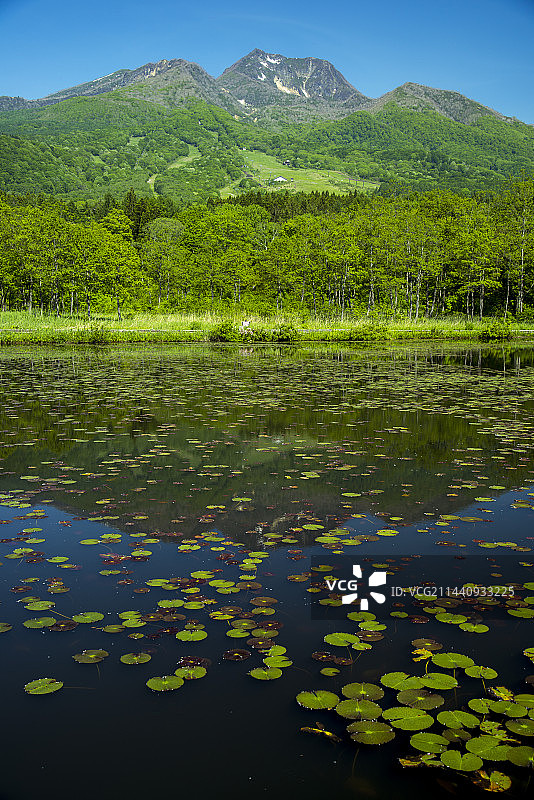 日本新泻县妙高市伊守池与妙高山图片素材