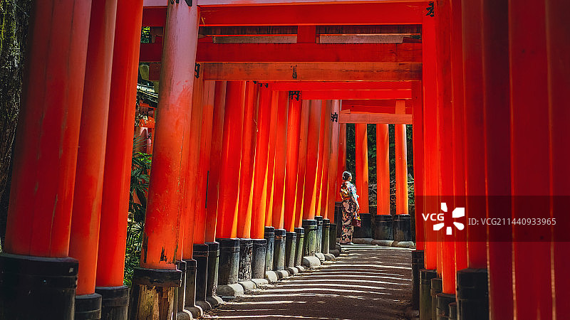 京都伏见稻荷大社鸟居光影图片素材
