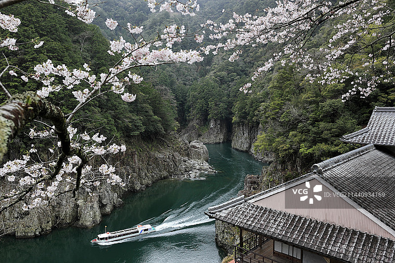 日本奈良县，春天里的Shatorokyo峡谷图片素材