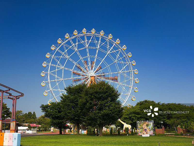 日本埼玉县宫代町的摩天轮图片素材