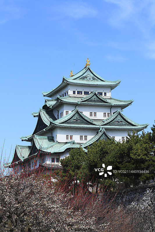 名古屋城天守阁与梅花图片素材