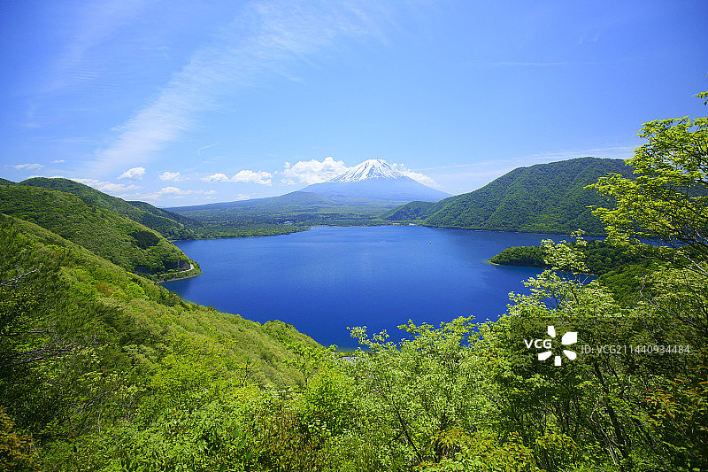 富士山、本栖湖与新绿，日本山梨县图片素材