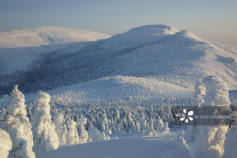 宫城藏王树冰，日本宫城县刈田郡藏王町，宫城图片素材