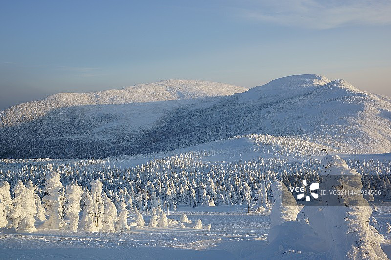 宫城藏王树冰，日本宫城县刈田郡藏王町，宫城图片素材
