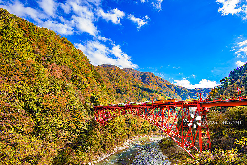 日本富山县黑部峡谷的秋叶与有轨电车图片素材