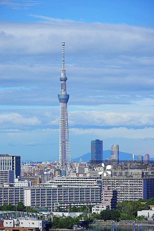 日本东京墨田晴空塔和筑波山图片素材
