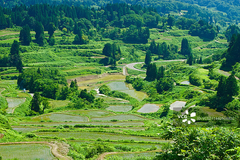 日本新泻县十日町星峠的梯田图片素材