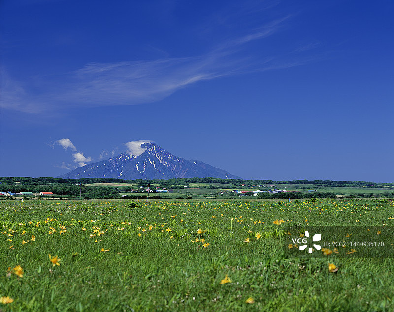 北海道稚咲寒原与利尻岛图片素材