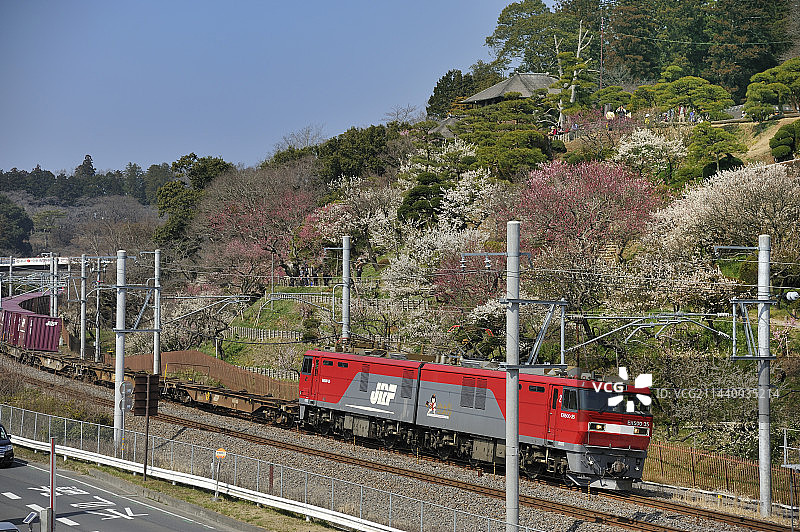 日本茨城县偕乐园梅花与货运列车图片素材