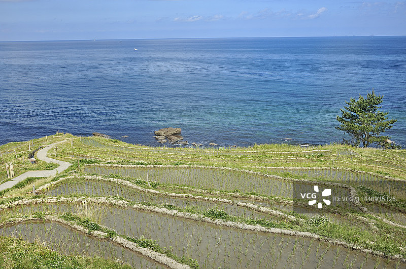 日本石川县轮岛市白米千枚田图片素材