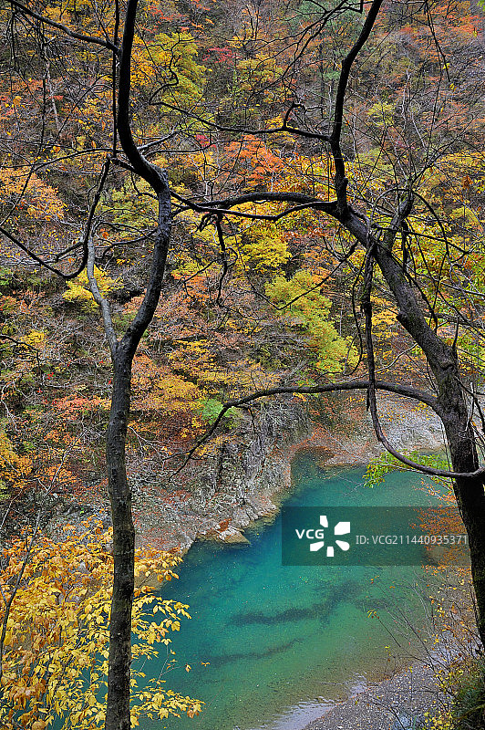 日本秋田县仙北市抱返角谷图片素材
