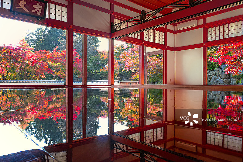 日本群马县桐生市宝德寺的秋叶图片素材