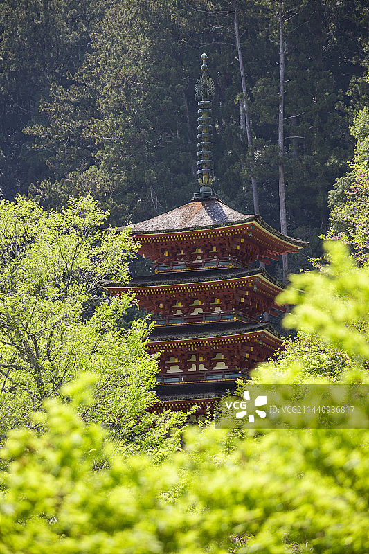 日本奈良县长谷寺五重塔图片素材