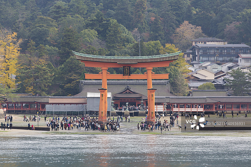 严岛神社鸟居，日本广岛县廿日市图片素材
