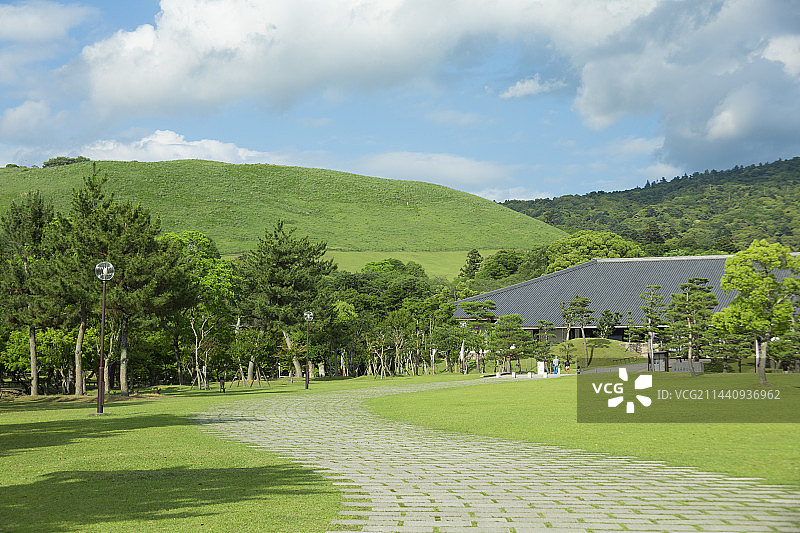 日本奈良若草山新鲜绿植景观图片素材