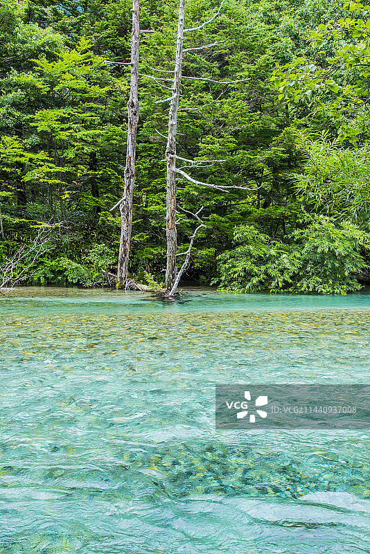 日本长野县上高地的梓川和绿植图片素材