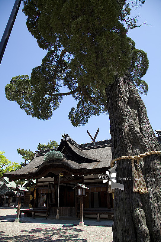 住吉大社第三本宫，日本大阪图片素材