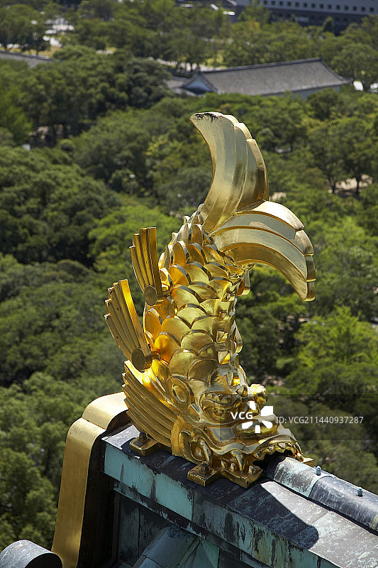 金色虎鲸，大阪府大阪市图片素材