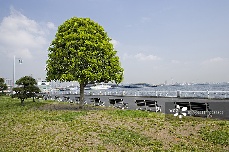 初夏的山下公园，神奈川县横滨市图片素材