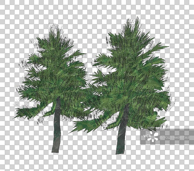 松树插画元素图片素材