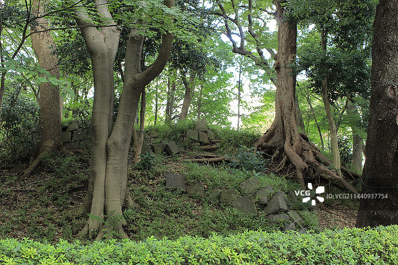 硫磺岛山图片素材