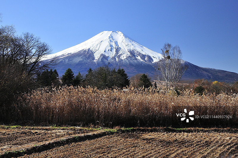 日本山梨县忍野富士山图片素材