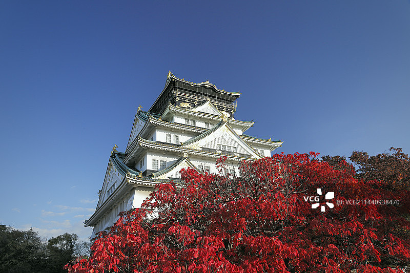 日本大阪城秋叶景观图片素材