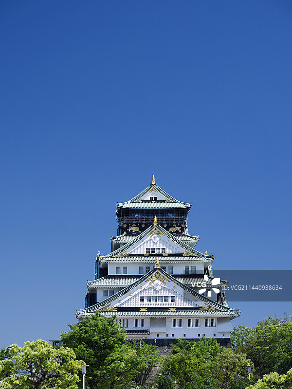 大阪城的新绿（日本大阪府大阪市）图片素材