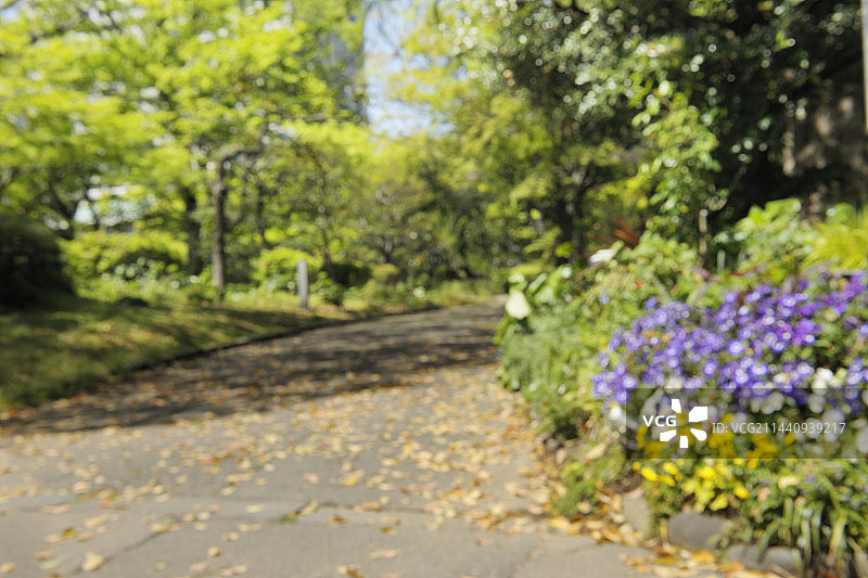 春季的日比谷公园，日本，东京，千代田图片素材