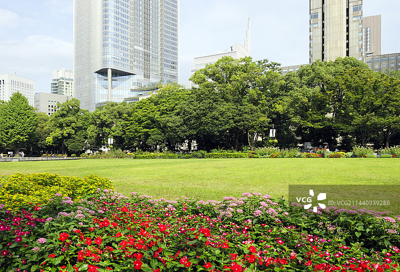 夏季的日本东京日比谷公园图片素材