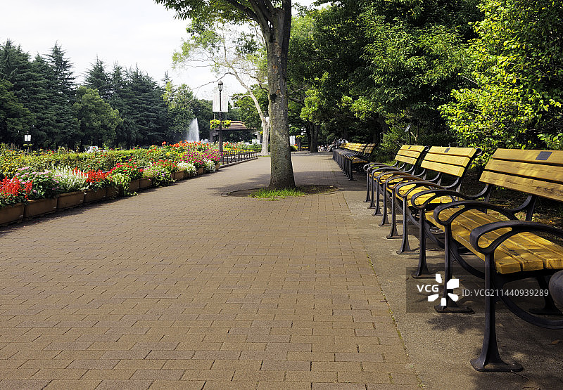 盛夏的日比谷公园，日本东京图片素材