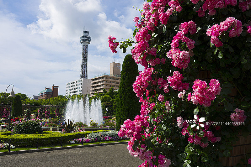 日本神奈川县横滨市山下公园海洋塔图片素材